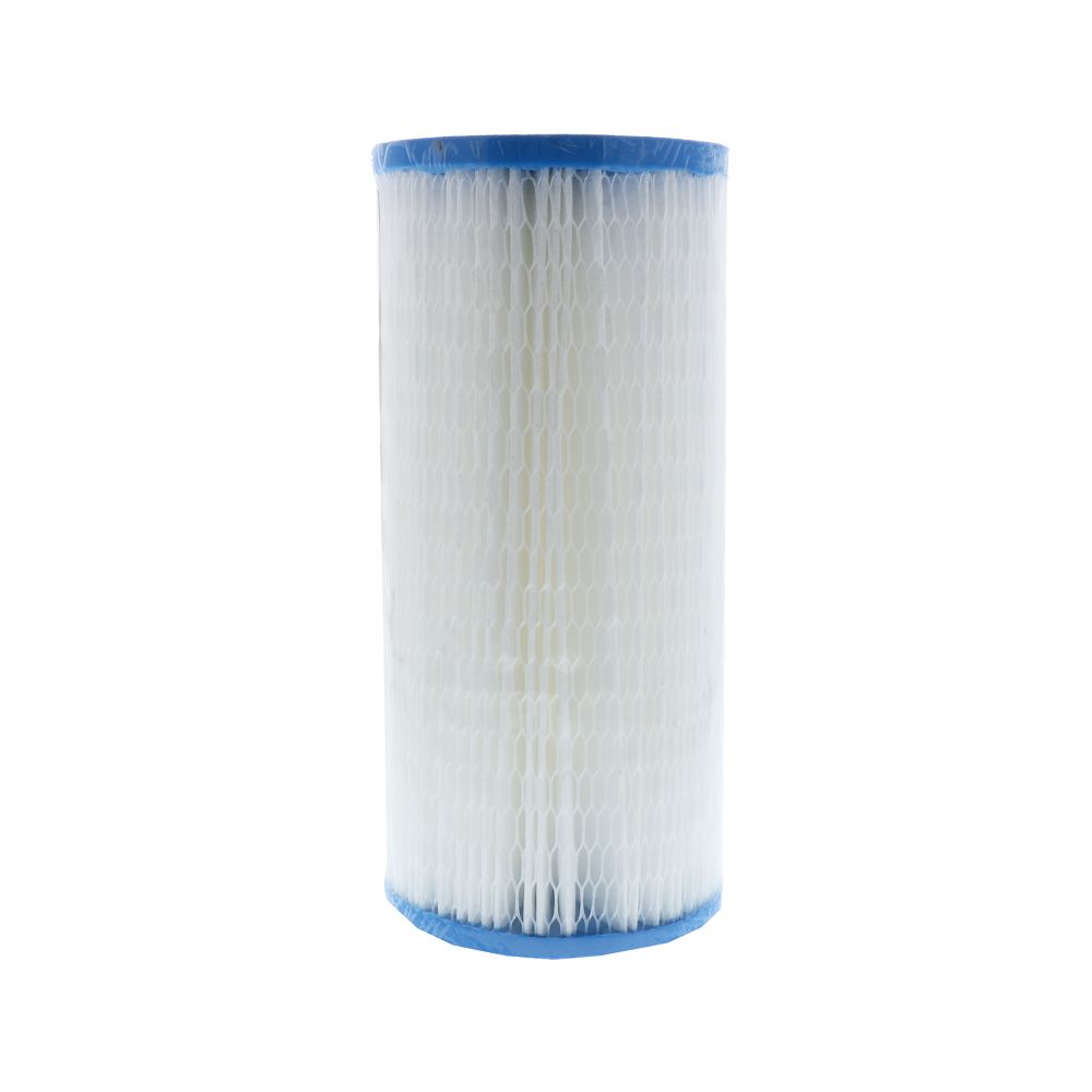 Watts, 10" x 4-1/2" BB Watts Pleated - 0.35 mic (Cyst) Filter